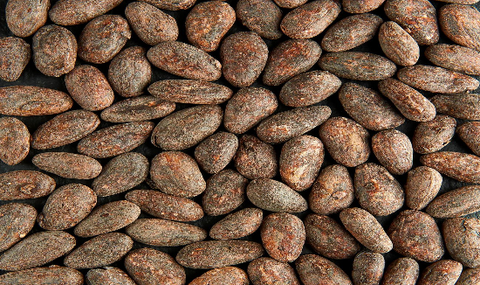 Organic Roasted Beans - 130g